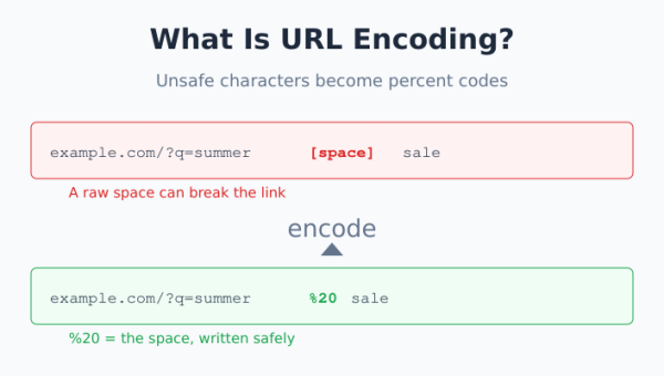 URL encoding — a space character turning into %20 inside a URL